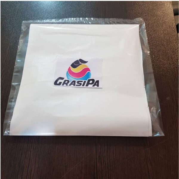 برچسب کنسول و دسته پلی استیشن 4 گراسیپا مدل فصایی