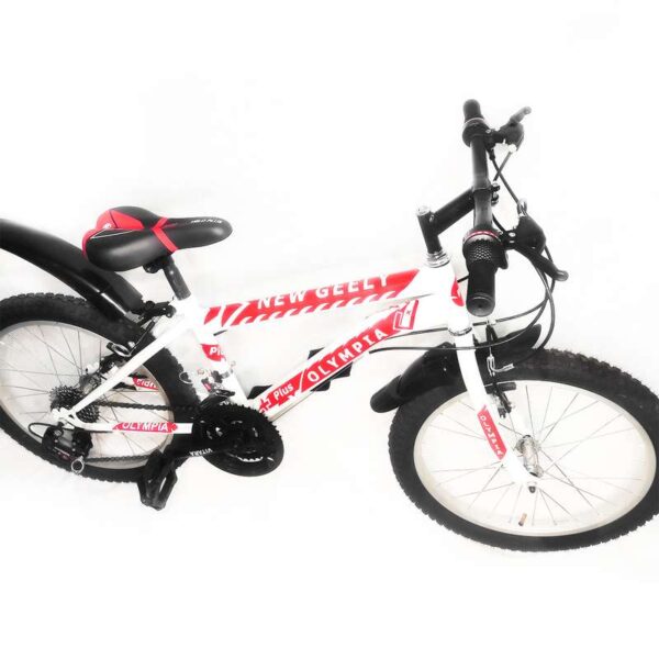 دوچرخه کوهستان المپیا مدل WR 1200 سایز 20
